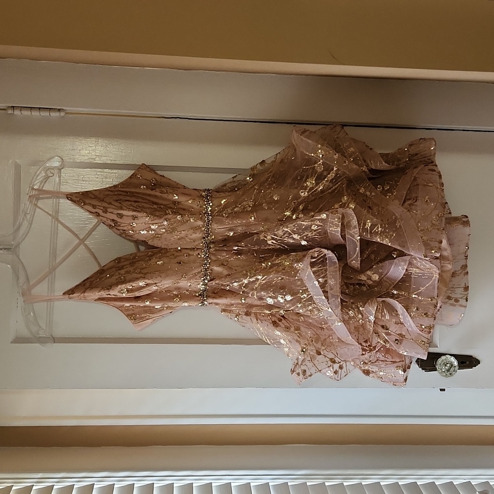 Pink and Gold Short Formal Dress